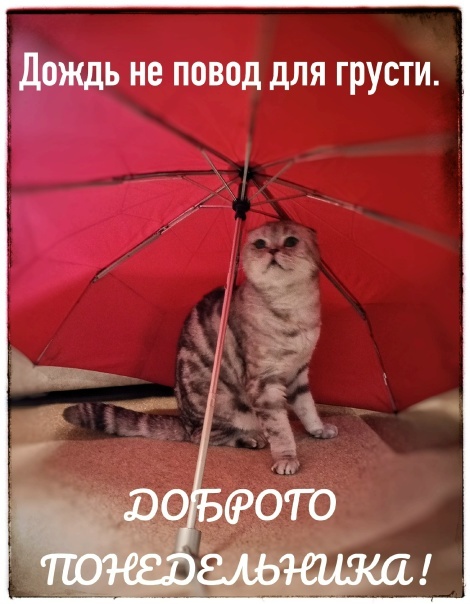 Фото из свободного доступа интернета