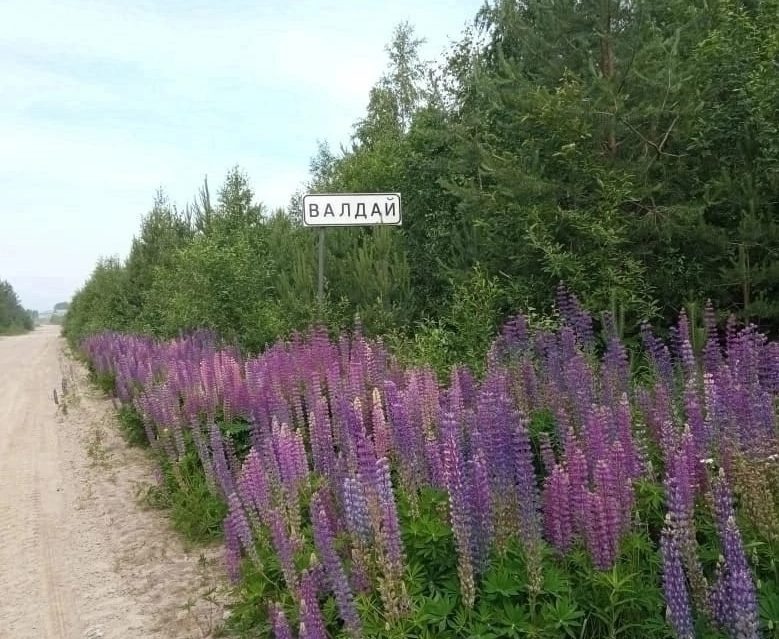    Фото: Сегежский муниципальный округ