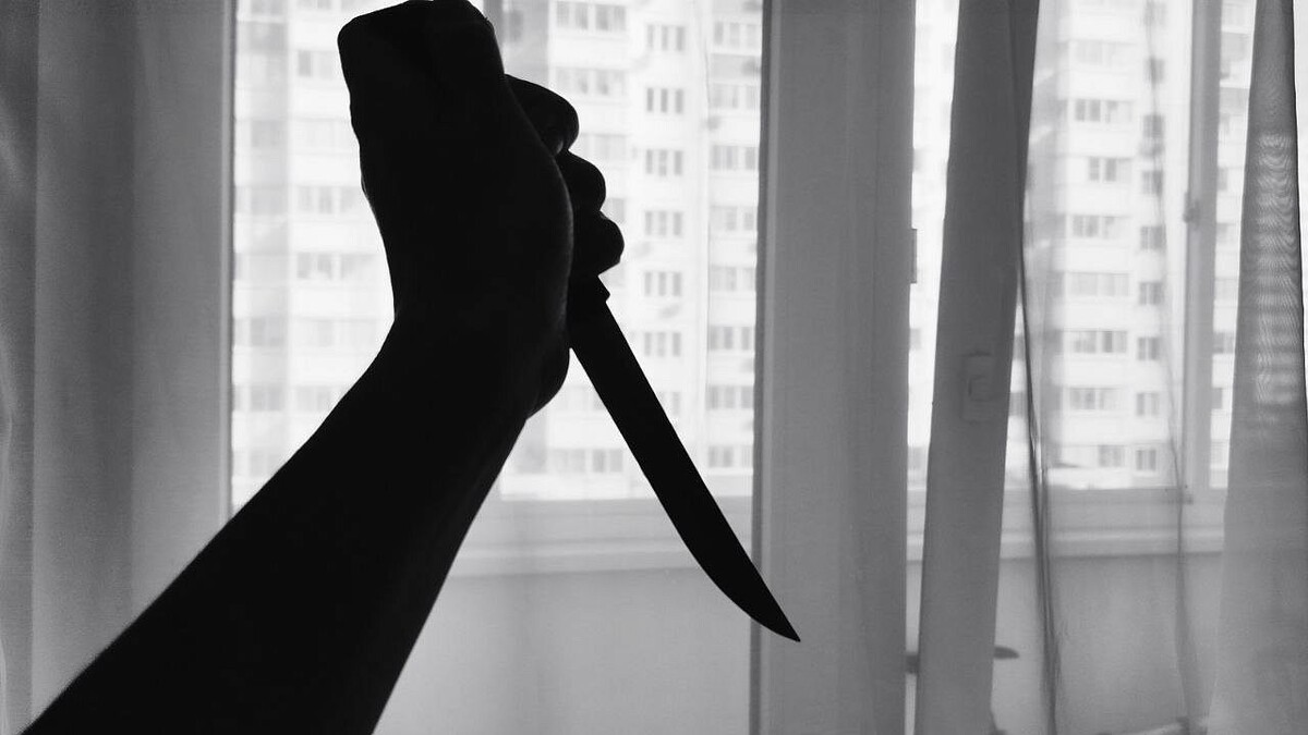    Фото: телеканал «Краснодар»