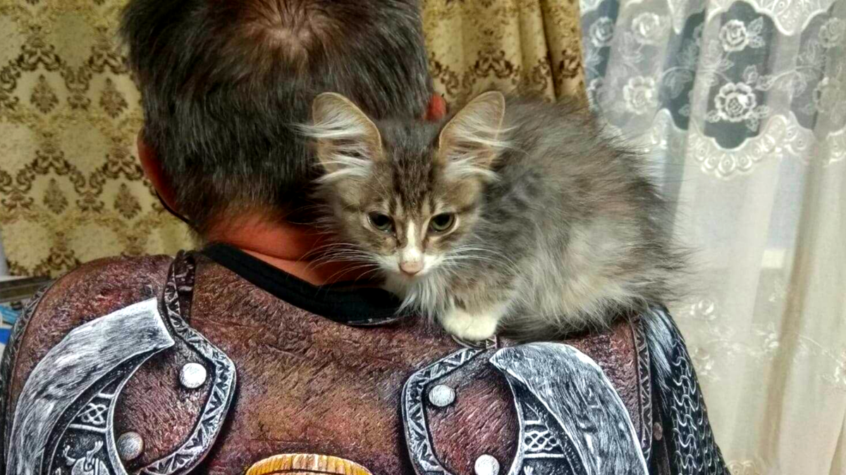 Фото ДО. А ФОТО после далее в галерее --->>