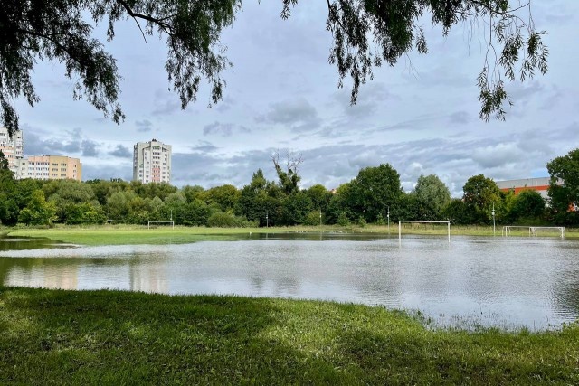   Фото: Калининград.Ru