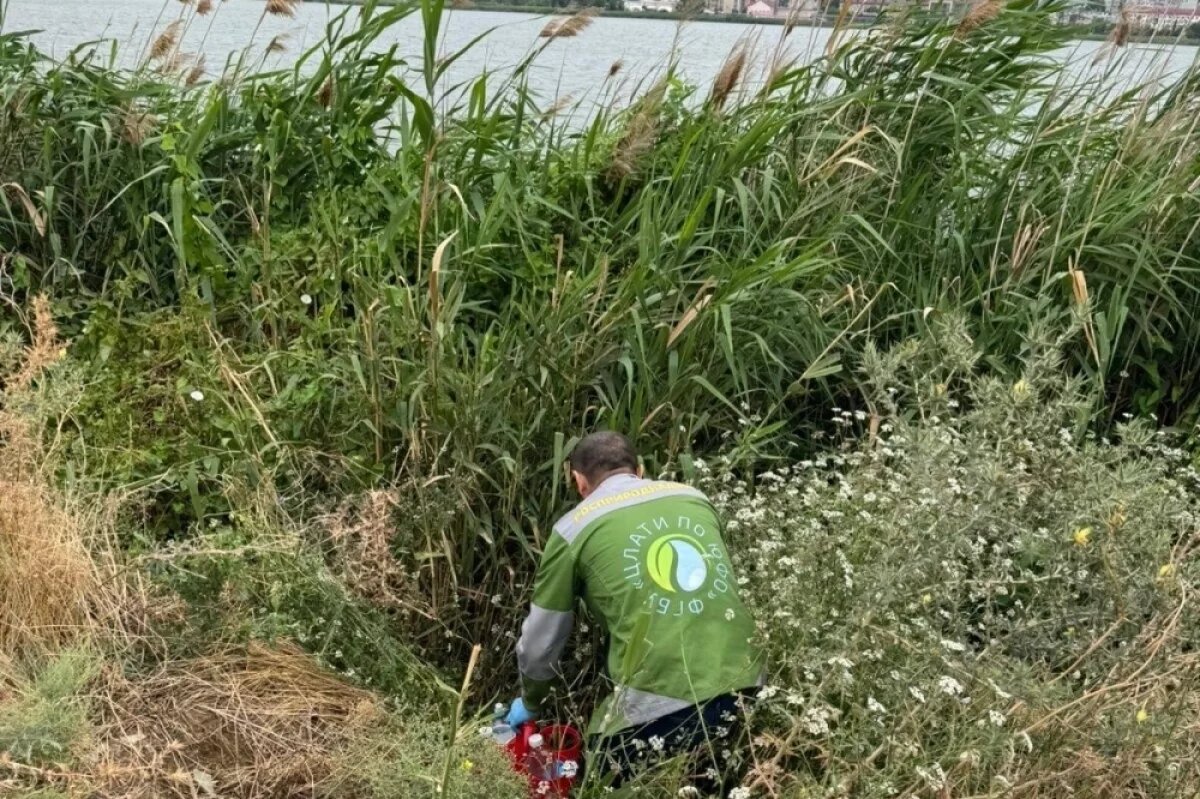    В дагестанское озеро Ак-Гёль сбрасывали канализационные воды