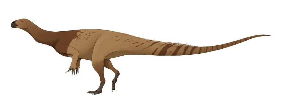 Агрозавр, реставрация прижизненного облика.