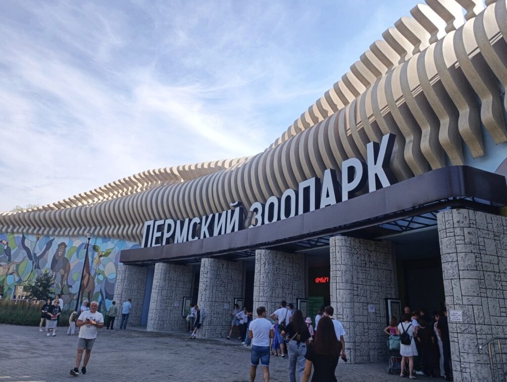    Фото: В курсе.ру Полина Анкушина