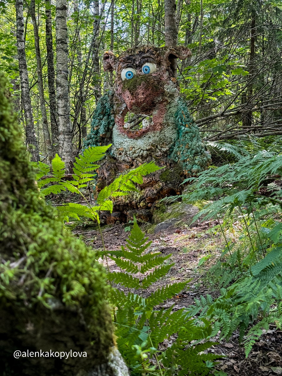 Фото автора