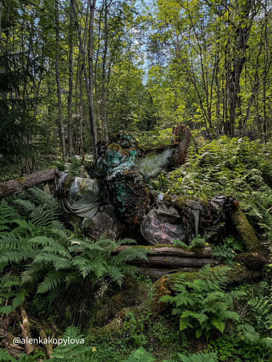 Фото автора