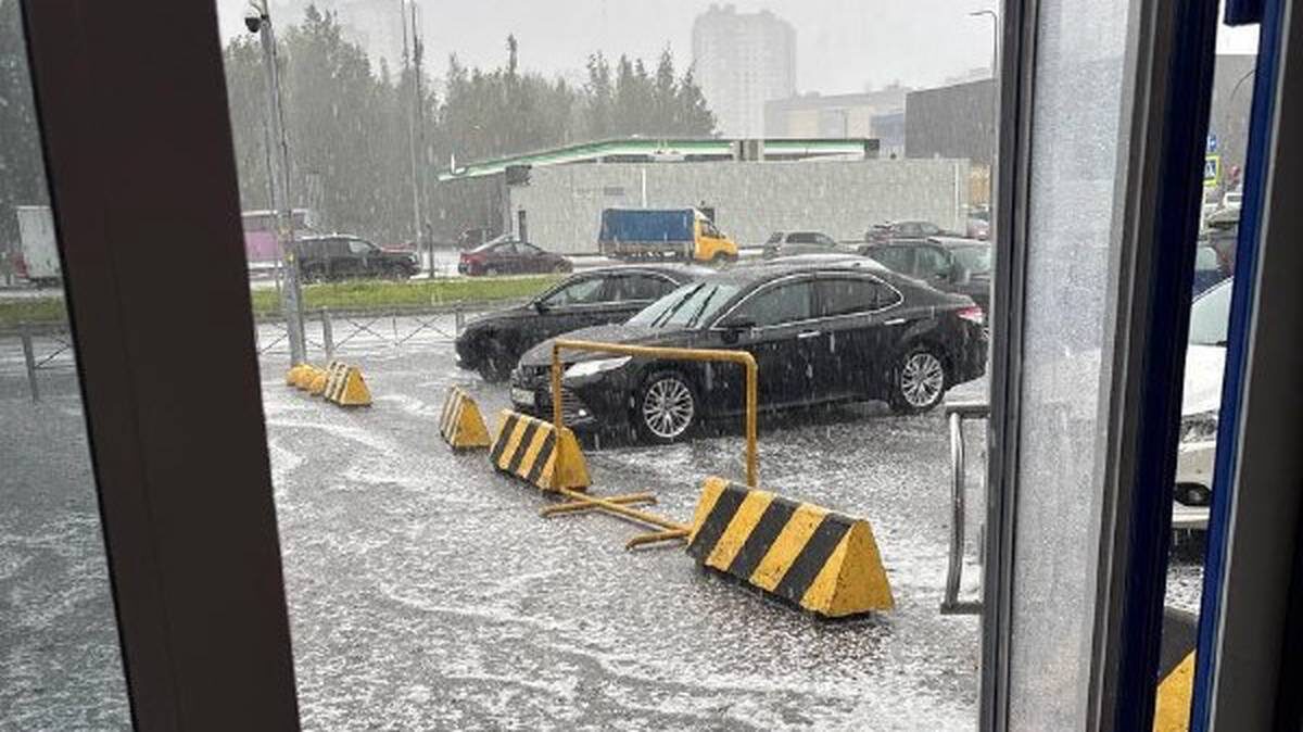    Фото: Скриншот видео / Питер Новости / Telegram