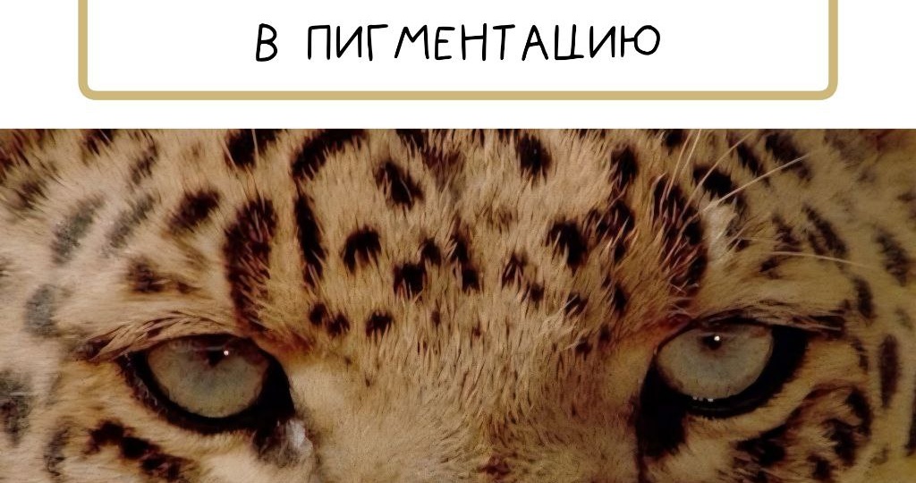 Пигментация, одна из тех историй, где хочется «намазать всё и сразу