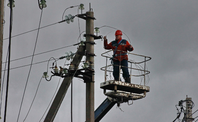    © Анастасия Илюшина / ЛенТВ24