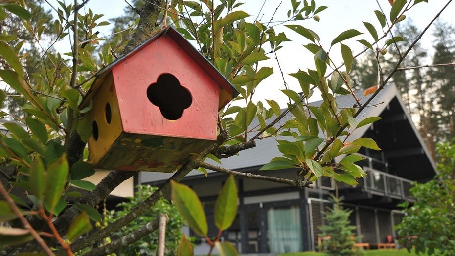    Автор фото: Свистунова Валентина