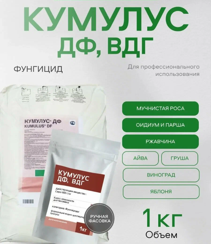 Фунгицид ВДГ "Кумулус"