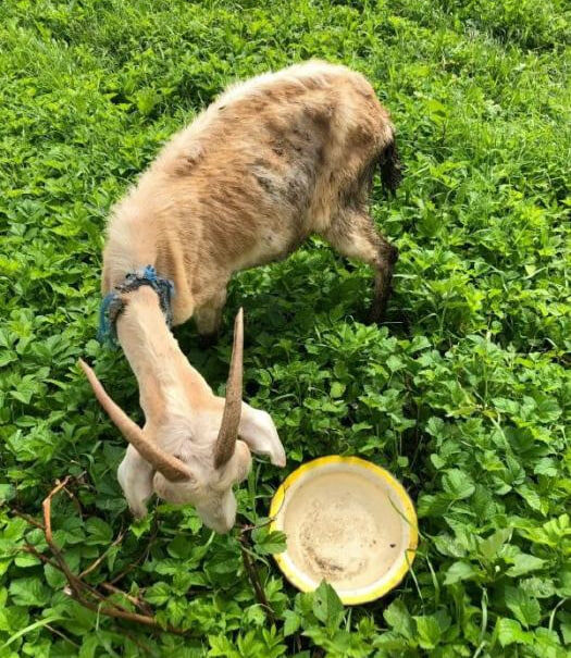 Фото: Елена Фёдорова