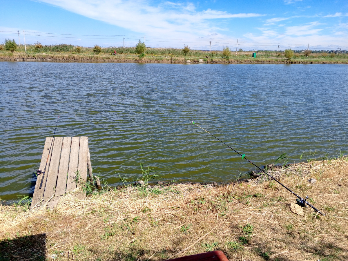 Платный пруд. Фото авторов