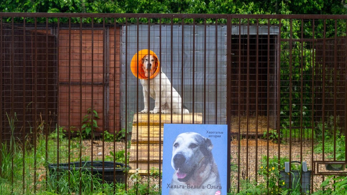 Фото: пресс-служба Комитета общественных связей и молодежной политики города Москвы
