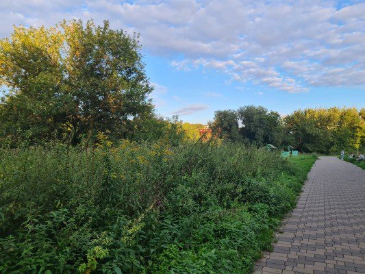 Фото: «Орловчане ВКонтакте»  📷
