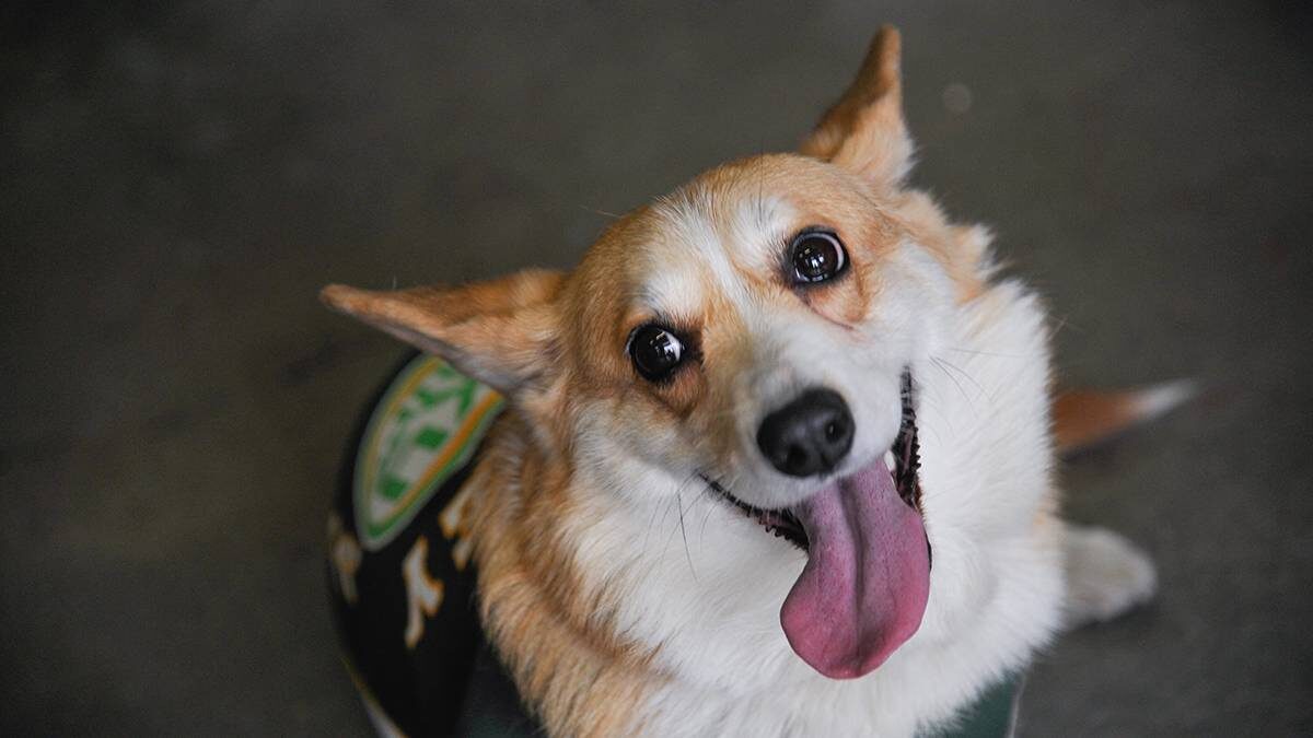    Фото: Александр Авилов / АГН Москва