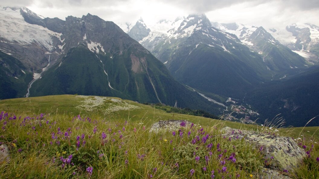    Andrei Kamenev/Russian Look/Globallookpress