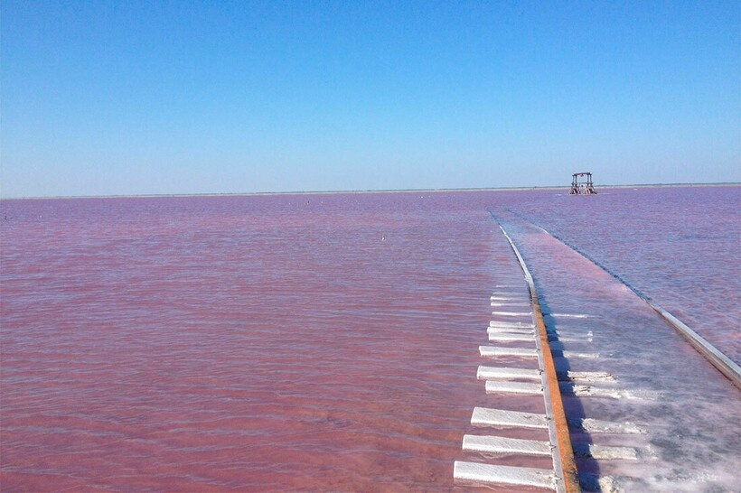 фото https://irecommend.ru/users/mariya-ya86