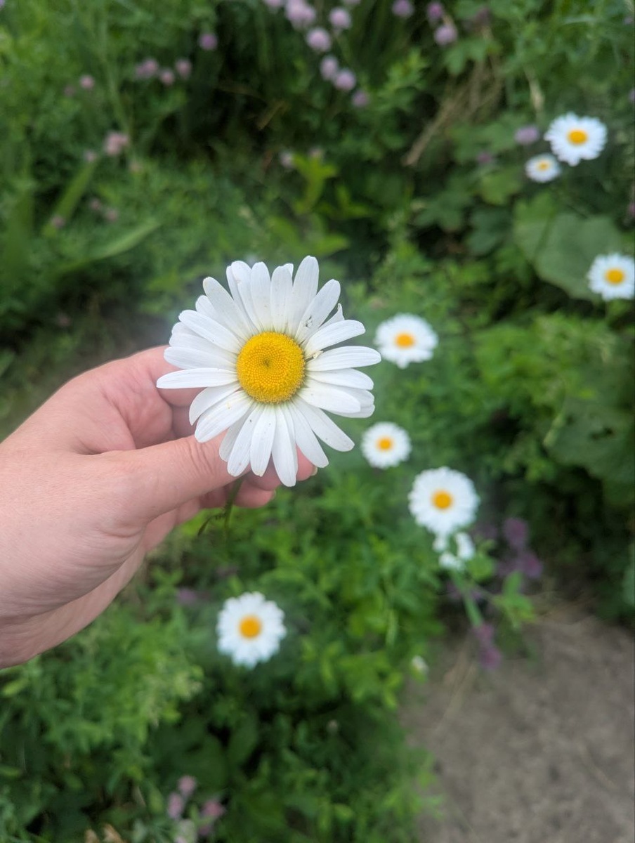 "не буду гадать, и так верю...."