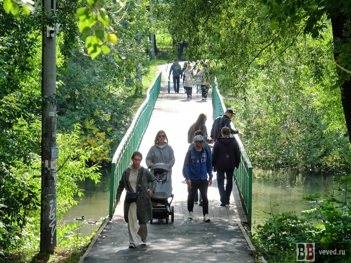     Фото: Владислав Постников / Вечерние Ведомости