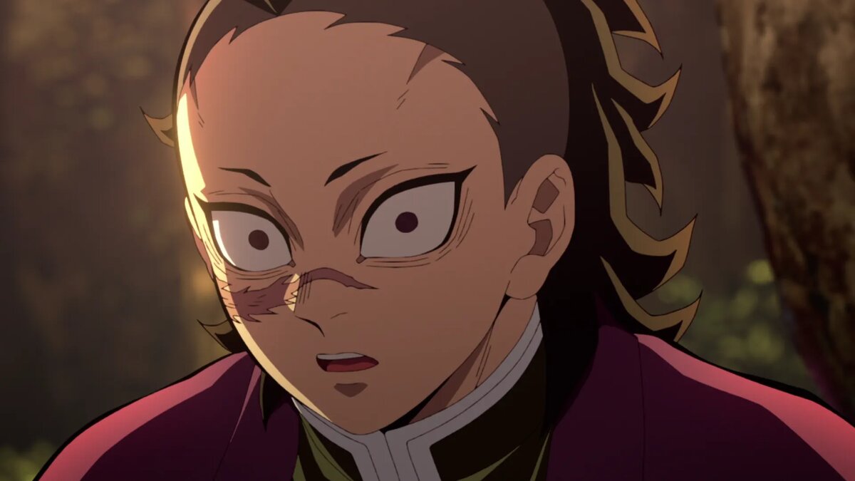 Кадр из аниме «Клинок, рассекающий демонов»   📷