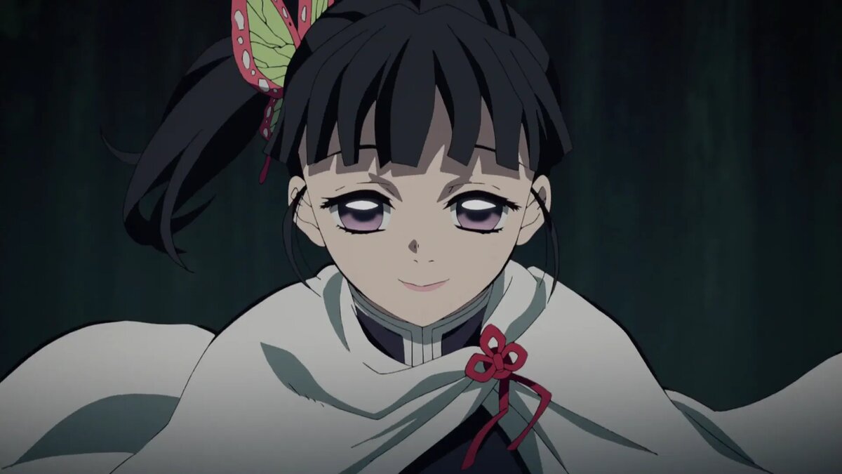 Кадр из аниме «Клинок, рассекающий демонов»   📷