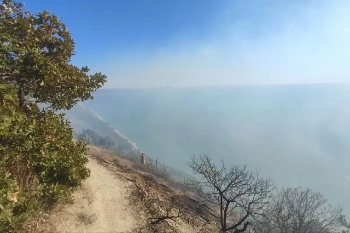    В Анапе площадь лесного пожара увеличилась до 6,5 га