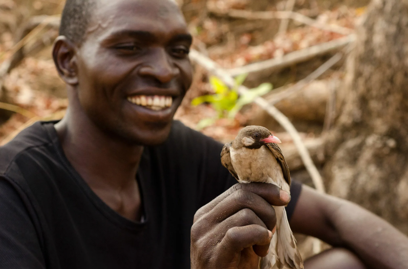 Поставь лайк!