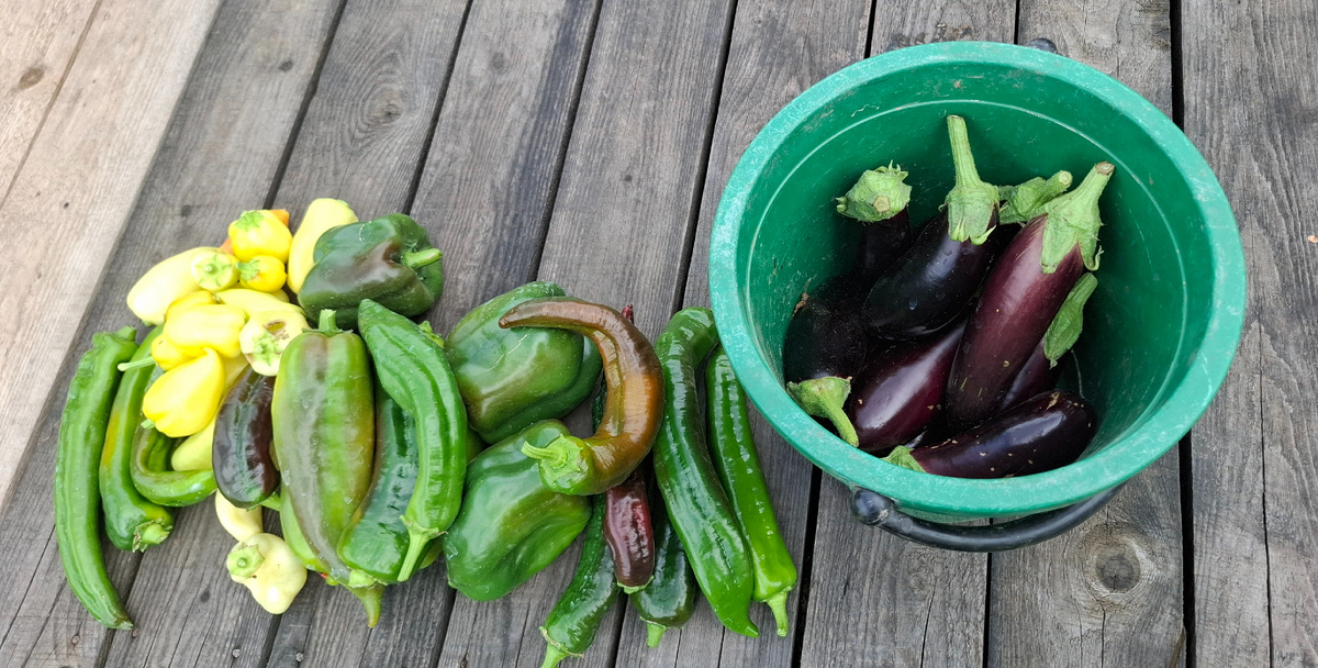 Перцы и баклажаны.