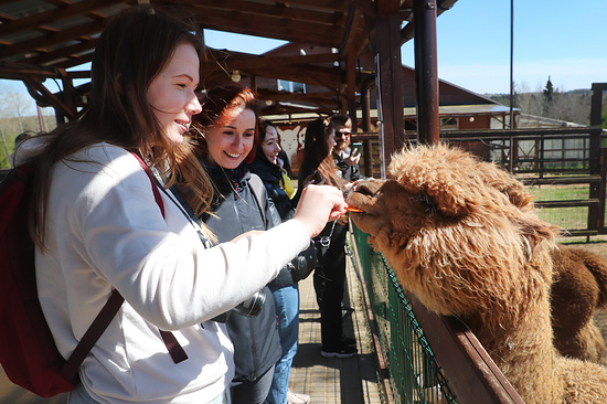 Фото: Сергей Фадеичев/ТАСС
