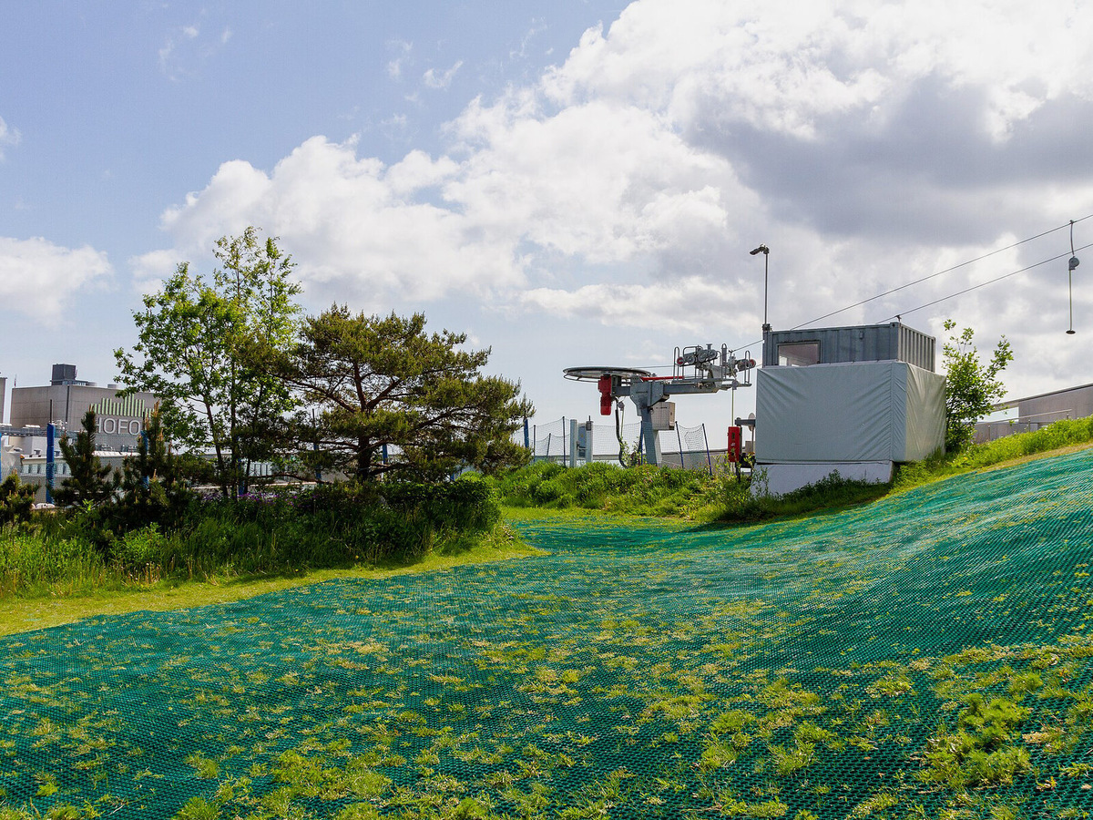 Покрытие, конечно, искусственное и не сравнится с катанием по снегу. Оно более скользкое и скорее похоже на лёд, чем на снег. Для удобства тут даже есть подъёмник. Фото: Creative1222 / Wikimedia 