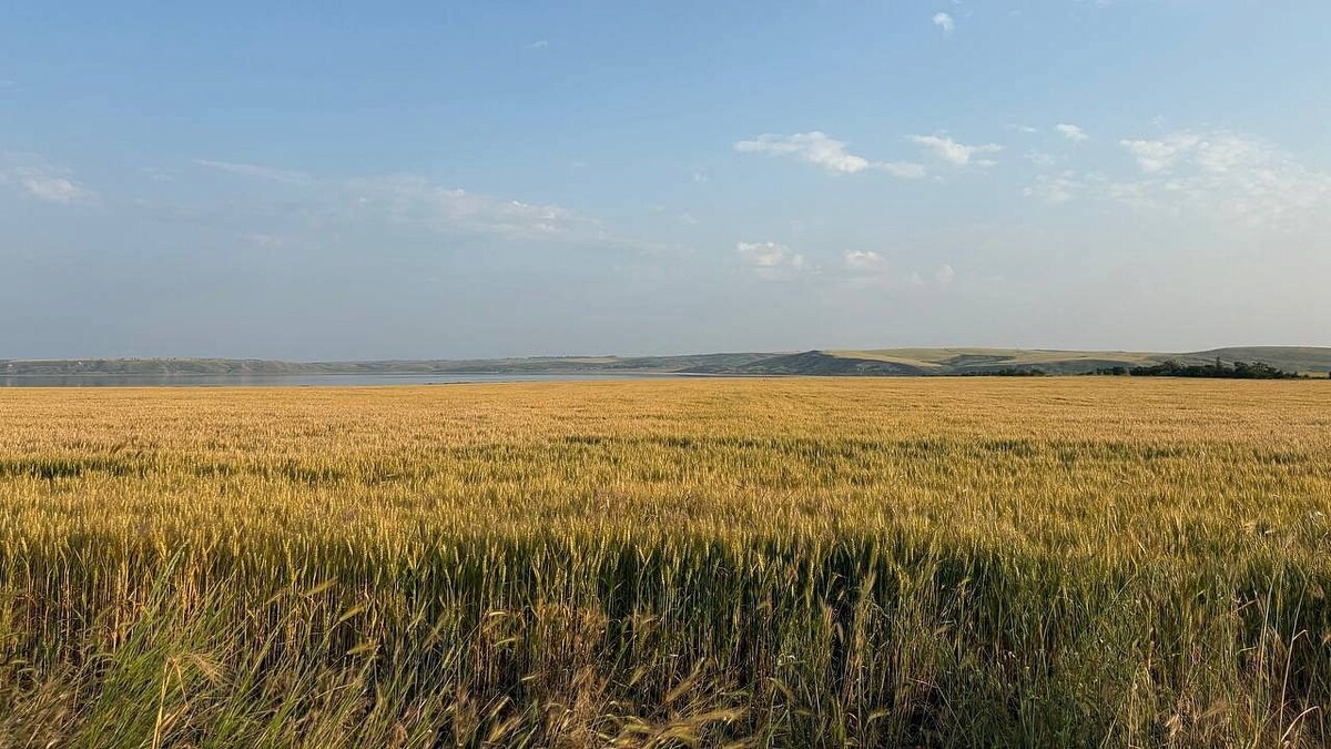    Фото: телеканал «Краснодар»