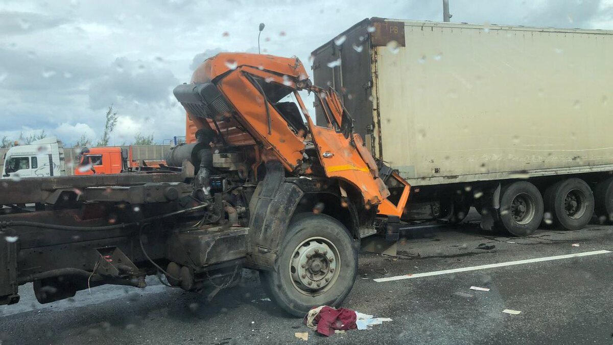    Фото: t.me/Megapolisonline