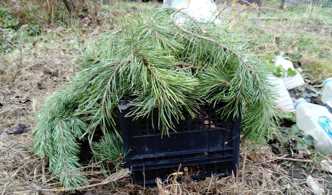 Фото использовано в качестве иллюстрации. Источник Яндекс-картинки