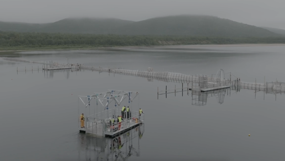    Самая длинная в мире ловушка для рыбы, предназначенная для борьбы с горбушей. Река Тана, Норвегия. Снимок с видео. Автор фото: VG