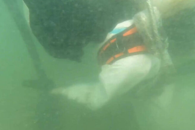    Скриншот видео: t.me/opershtab23