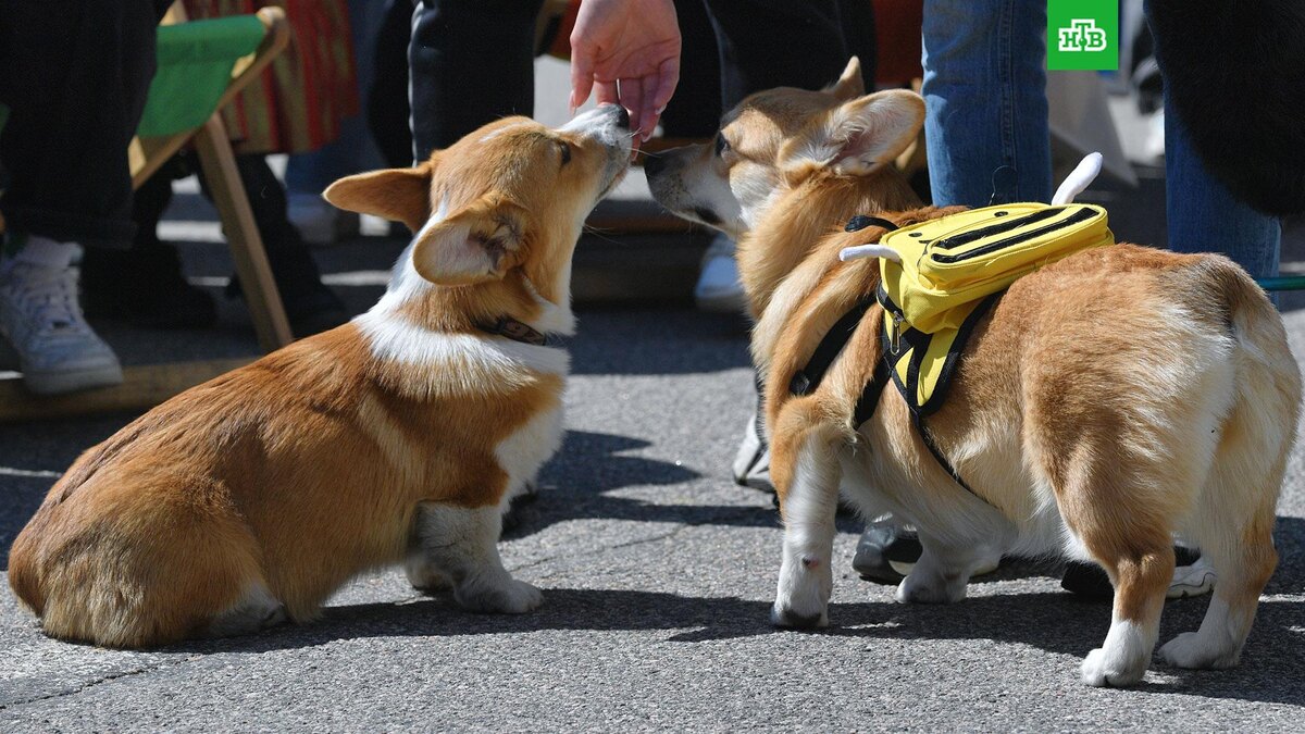    Фото: РИА Новости © 2025, Александр Гальперин