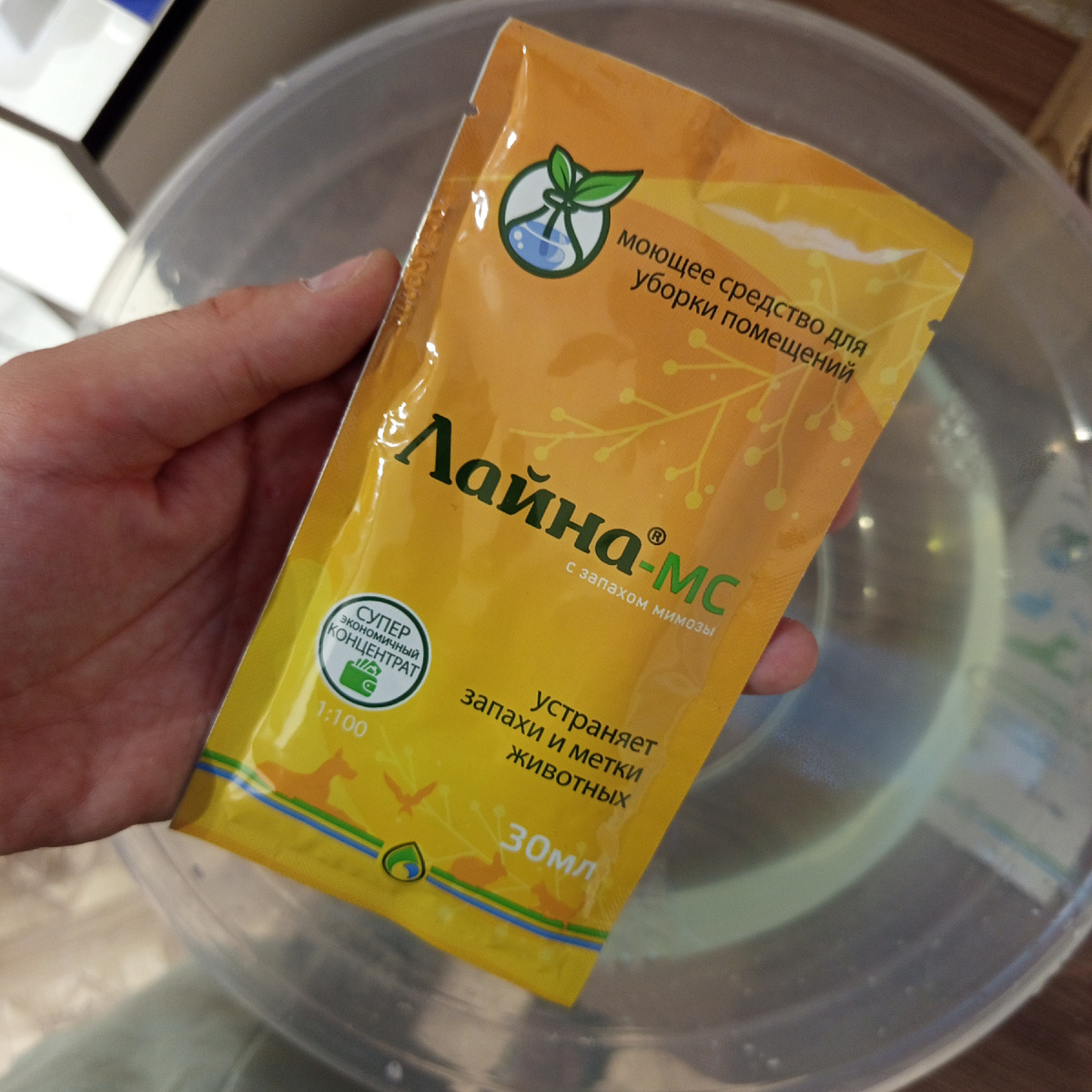 Фото автора. 