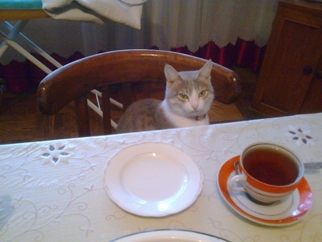 Даша. Мамина любимица.