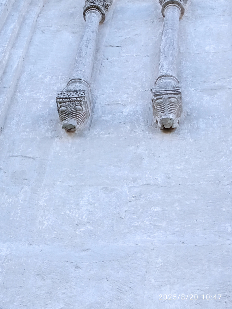 Фото автора, вот они красавчики