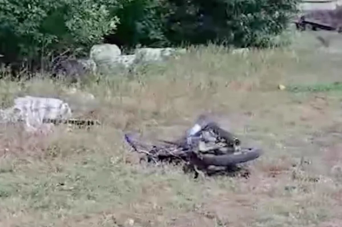    Семилетний малыш погиб из-за пьяного мотоциклиста под Волгоградом