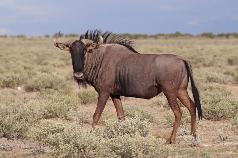 Поставь лайк!