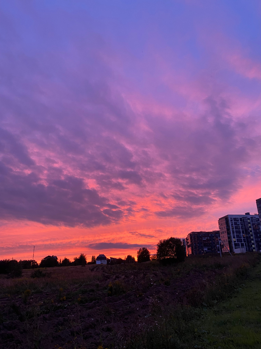 Закаты сейчас очень красивые 