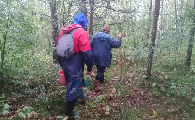    © Аварийно-спасательная служба Ленинградской области