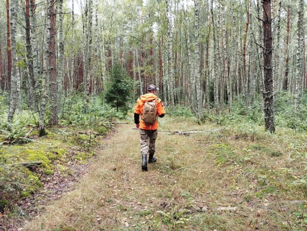    Поисковый отряд "ЛизаАлерт" Костромской области