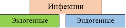 Инфекции: эндогенные и экзогенные 