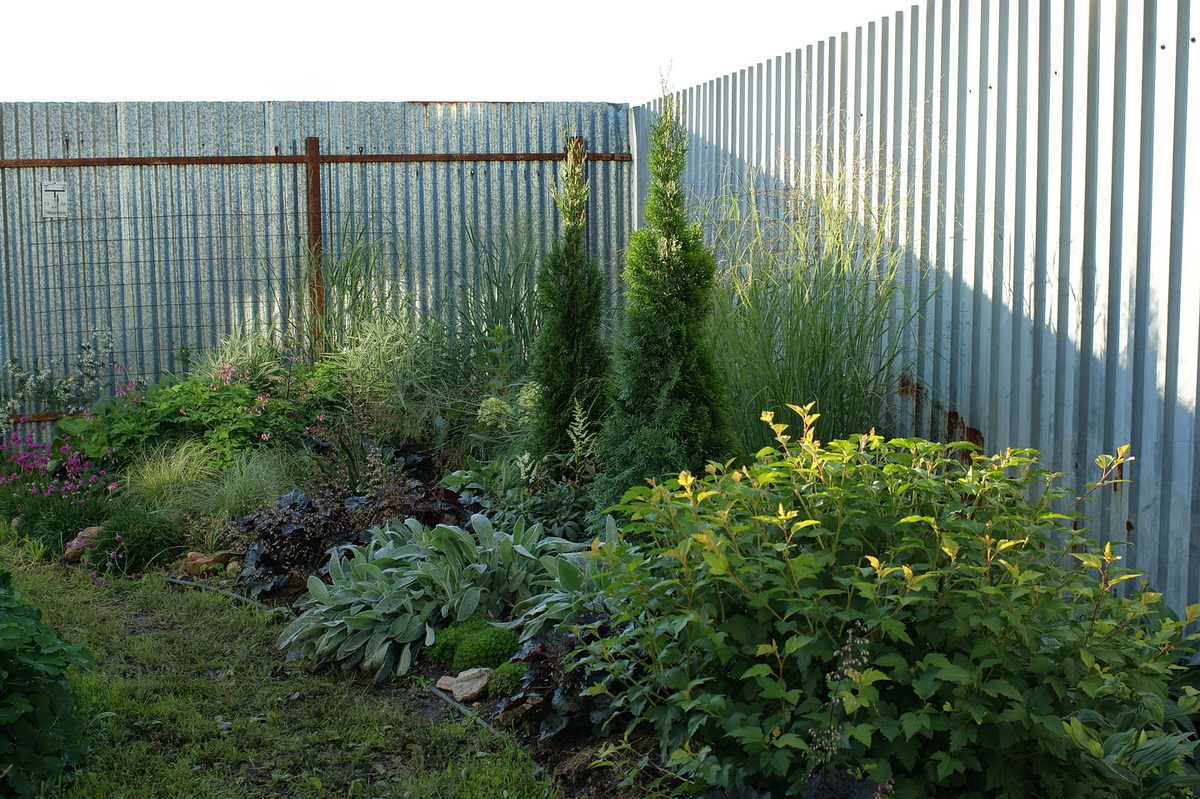 Стало, 2025 год