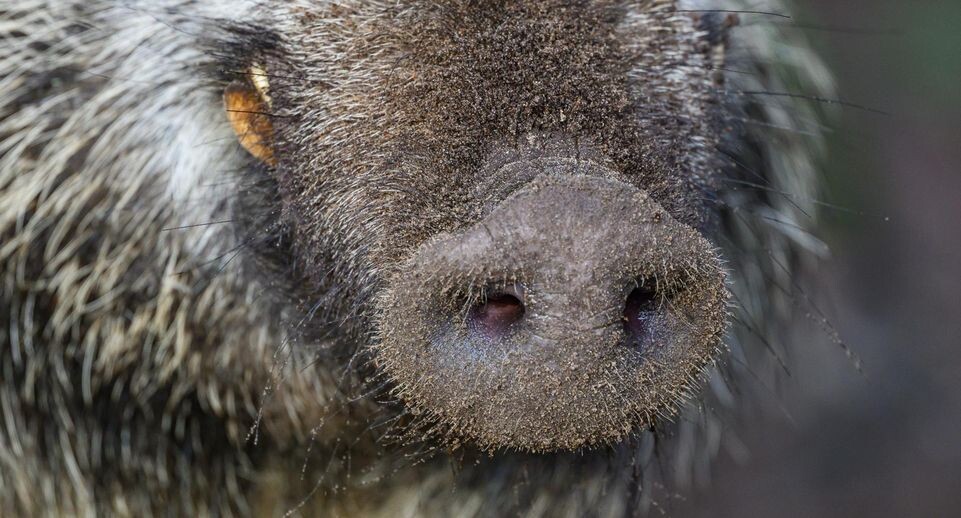    Patrick Pleul/ dpa / www.globallookpress.com