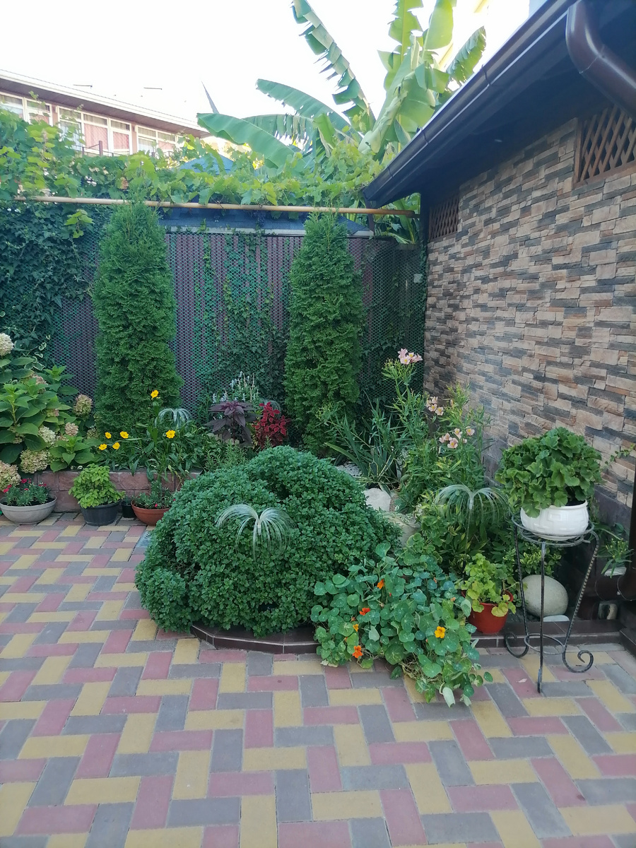 Фото автора 