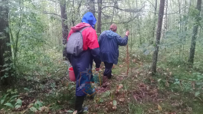 Фото: аварийно-спасательная служба Ленобласти